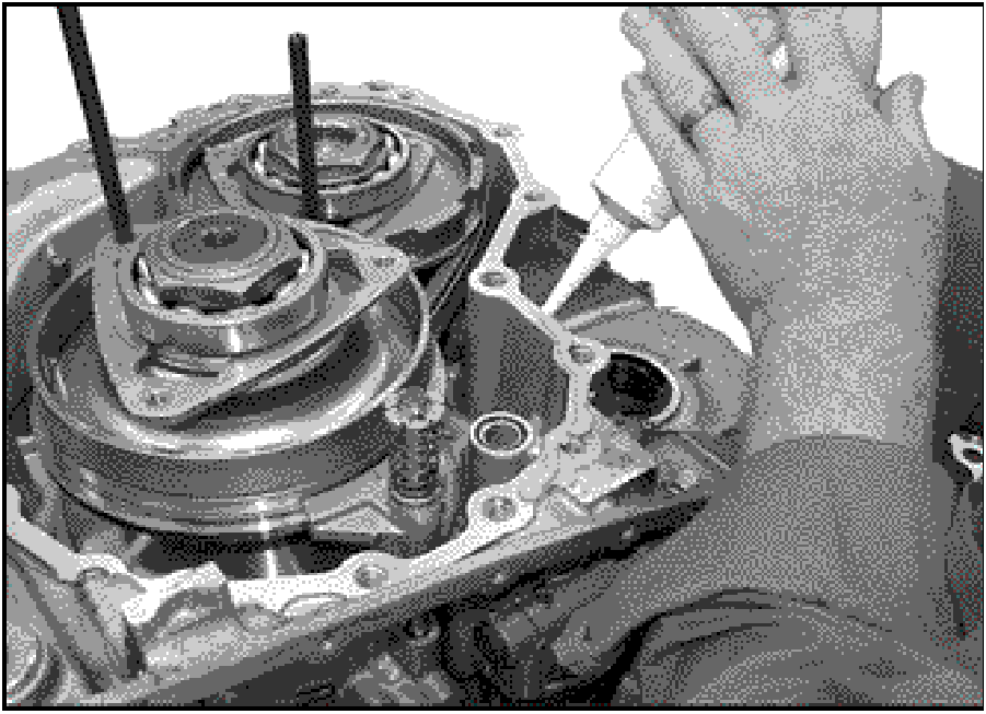 520065657_graphic-text255